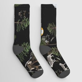 Wolf Dream  Socks
