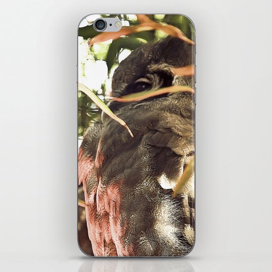 The Elusive Owl iPhone & iPod Skin