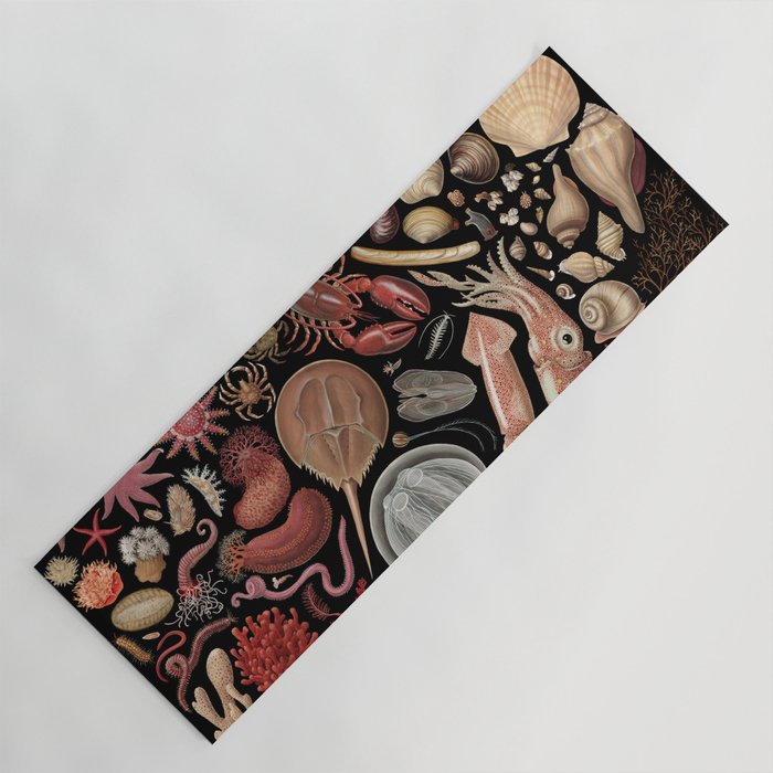 Intertidal Life of the North Atlantic (with species list) Yoga Mat