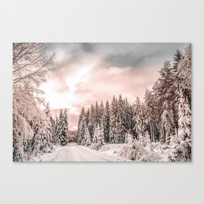 Winter Pine Tree Forest Canvas Print