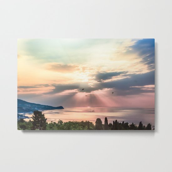 Sunny Metal Print