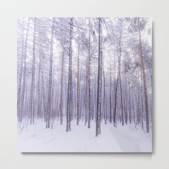 Snow in Trees Metal Print