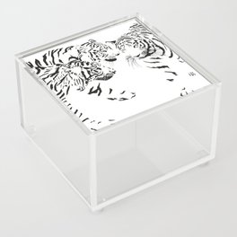Three tigers, Latin Panthera tigris tigris Acrylic Box