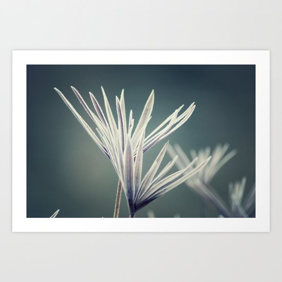 WINTER Art Print