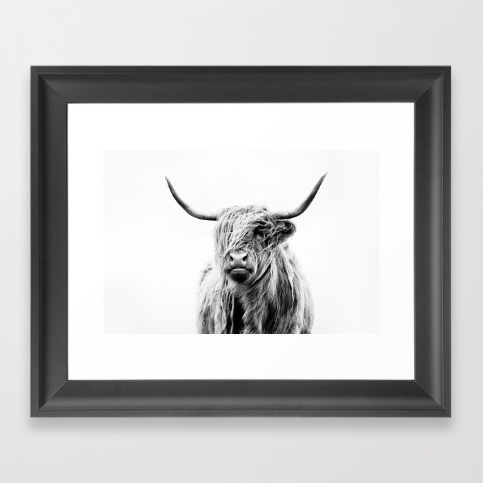 portrait of a highland cow (horizontal) Framed Art Print