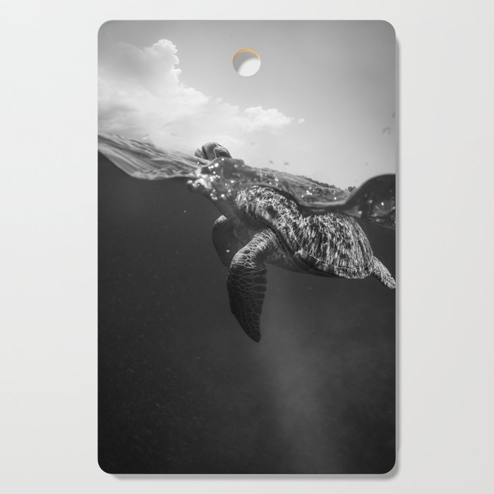 Sea turtle swimming ocean deep for beach and land nature black and white photograph / photography Cutting Board