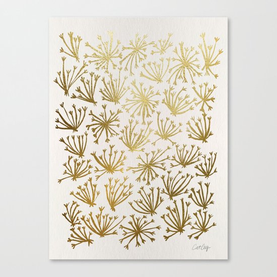 Queen Anne's Lace #2 Canvas Print