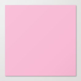 Solid Pink Coordinate from Checkered Daisies Canvas Print