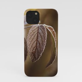 November Frost iPhone Case