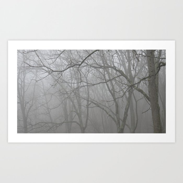 Foggy Woods Art Print