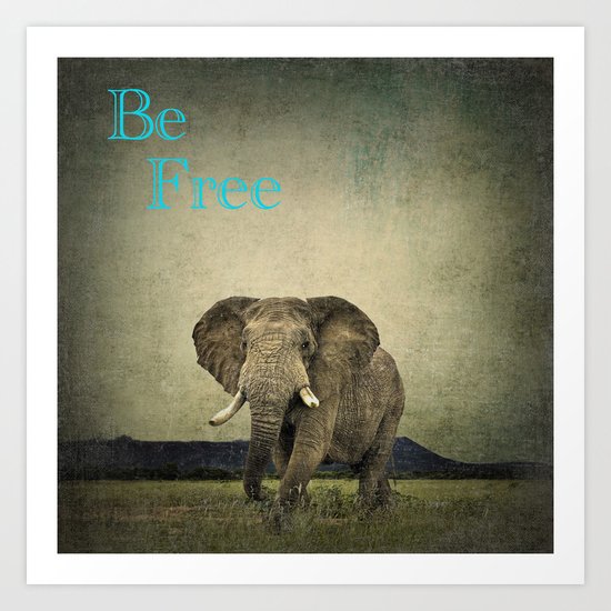 Elephant 1 Art Print