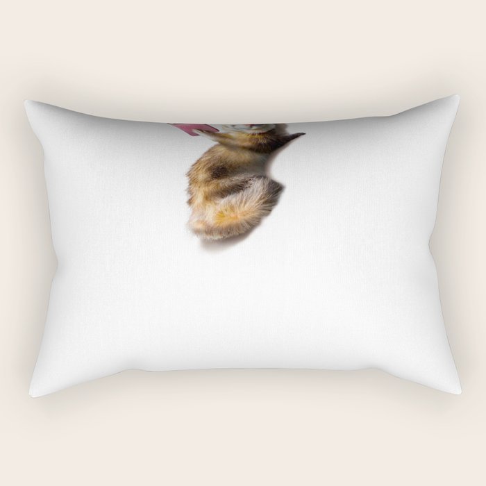 Rectangular Pillow
