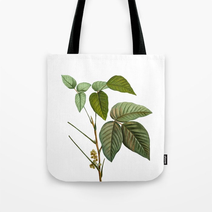 Vintage Eastern Poison Ivy Botanical Illustration on Pure White Tote Bag