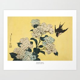 Hydrangea and Swallow by Katsushia Hokusai Art Print