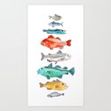 Fish Art Print by joshross | Society6