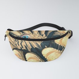 Eye of The Crater Fanny Pack