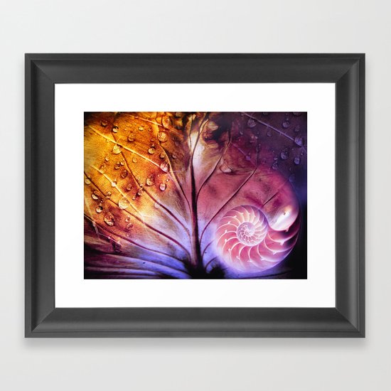 SHELTERED - Conceptual Composing with shell, leaf and waterdrops Framed Art Print