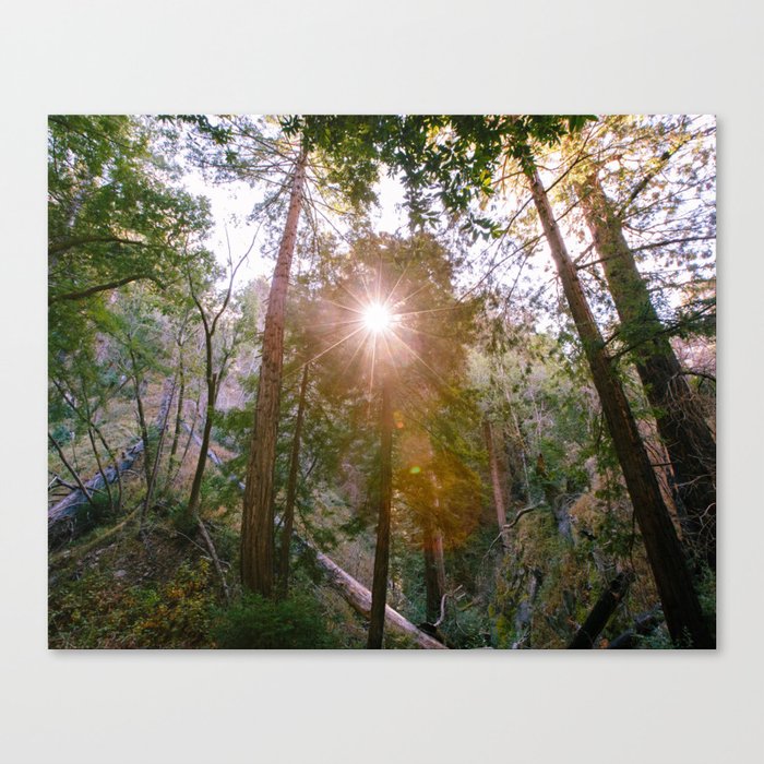 Catching Rays in Big Sur Canvas Print