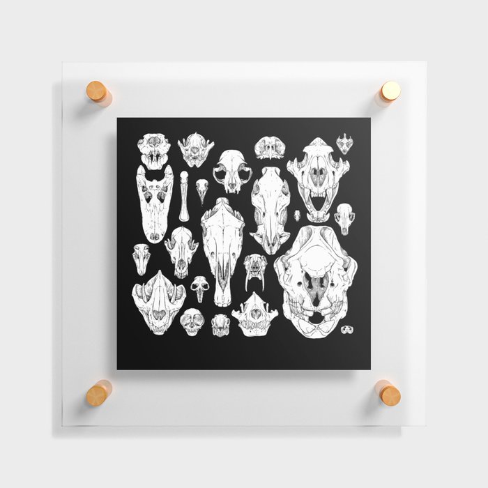 Skull Grid Floating Acrylic Print