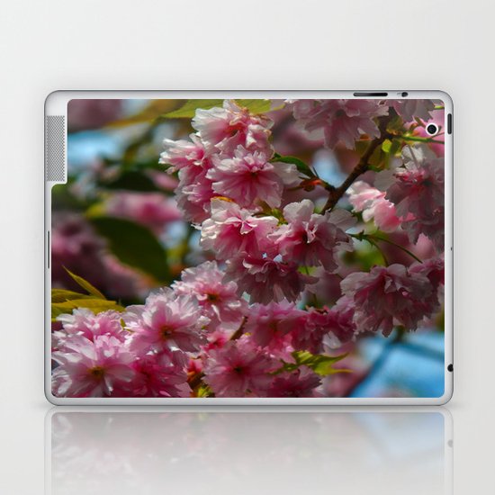 Cherry Blossom Laptop & iPad Skin