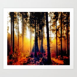 Forest in autumn Art Print