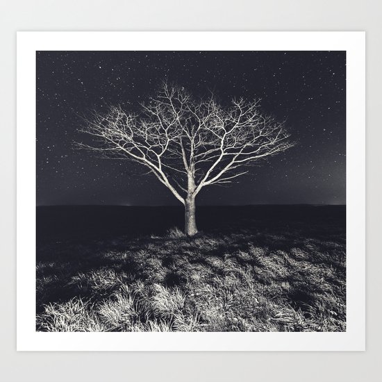 Branching Into The Stars Art Print