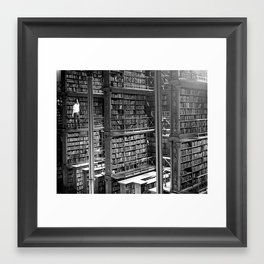 A Book Lover's Dream - Cast-iron Book Alcoves of Old Cincinnati Public Library Framed Art Print | Read, Ohio, Vintage, Lovers, Cincinnati, Books, Art, A, Photo, Literature 