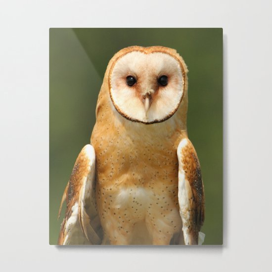 In her eyes Metal Print