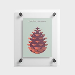 Pine Cone Mint Floating Acrylic Print