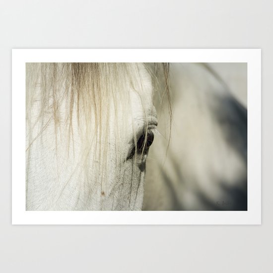 Behind the Veil Art Print