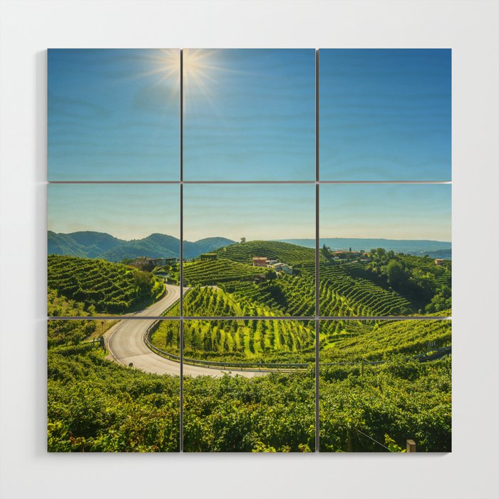 Vineyards and road. Prosecco Hills, Italy Wood Wall Art