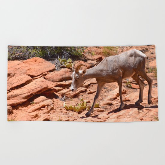 Desert Bighorn Sheep II - Zion Beach Towel