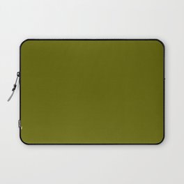 Frog Prince Green Laptop Sleeve