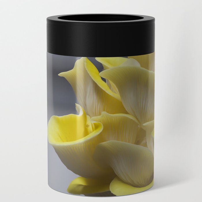 Yellow Oyster Mushroom Can Cooler