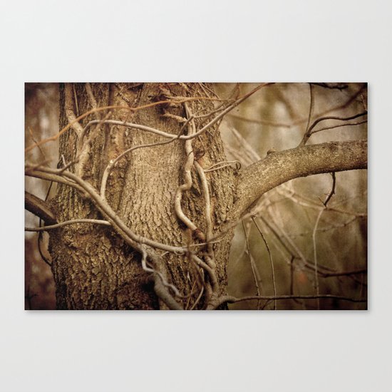 Life on Life Canvas Print