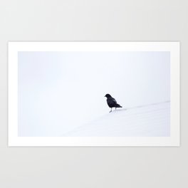 Crow in Snow Art Print