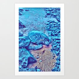 Kauai Sea Turtle Art Print