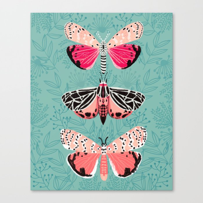 Lepidoptery No. 6 by Andrea Lauren Canvas Print