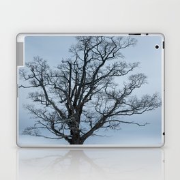 Frosty oak in a winter lancscape Laptop & iPad Skin