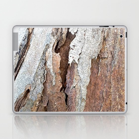 Eucalyptus Tree Bark and Wood Abstract Natural Texture 64 Laptop & iPad Skin
