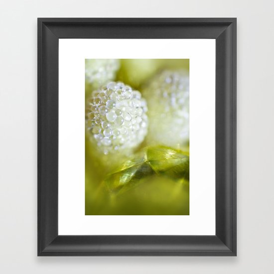 SERIES »MICROPEARLS« III Framed Art Print