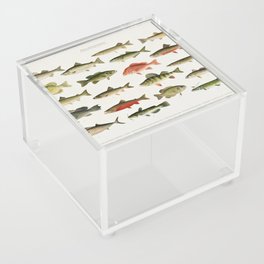 Illustrated North America Game Fish Identification Chart Acrylic Box
