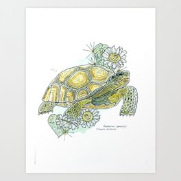 Desert Tortoise Art Print