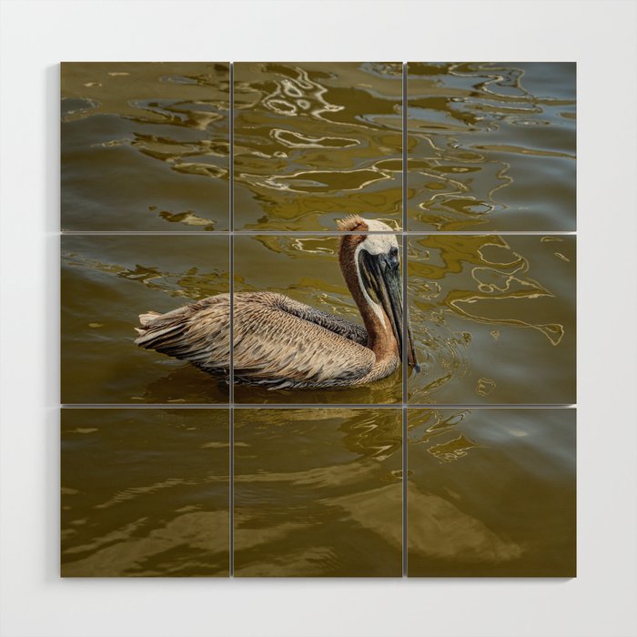 Brown Pelican 0581 - Cedar Key, Florida Wood Wall Art