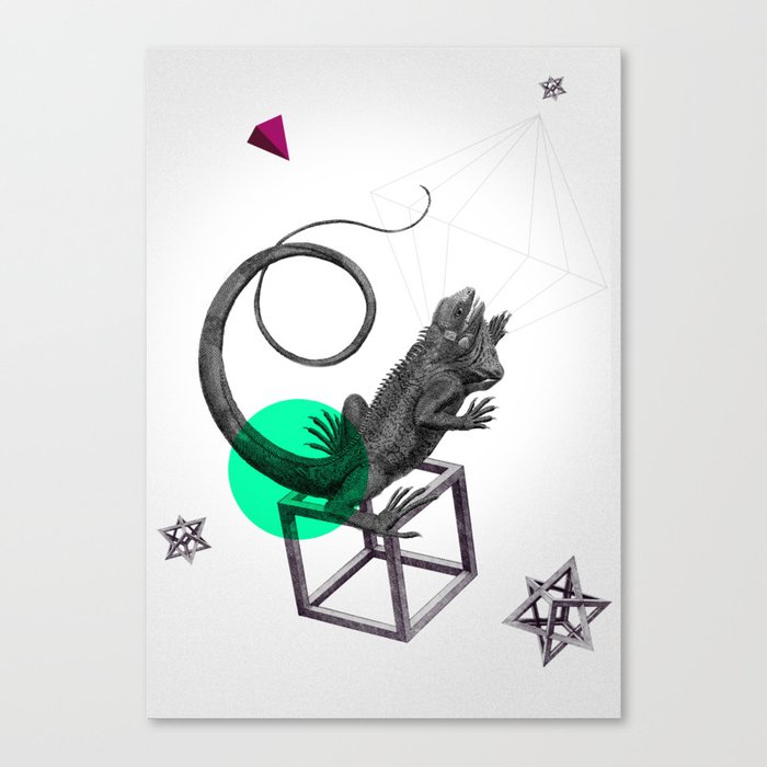 Zoologica Serie: Ambition Canvas Print