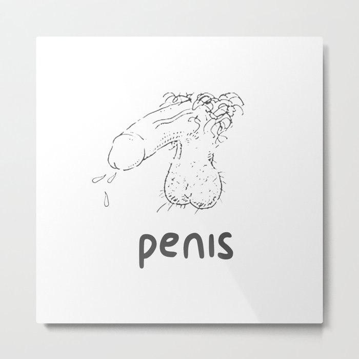 Penis  Metal Print