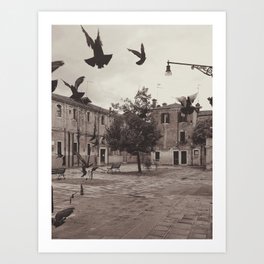 Venetian Birds _ Photography Art Print