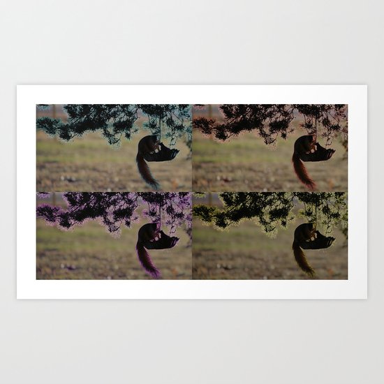 Greedy Squirrel II Art Print