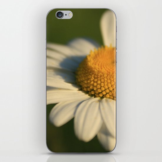 Daisy iPhone & iPod Skin