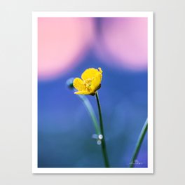 Floral Photography "HAPPY YELLOW" Canvas Print